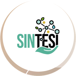 SINTESI