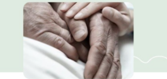 aa