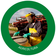 Agricoltura
